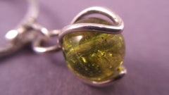 Forest Daughter - Tuulikki